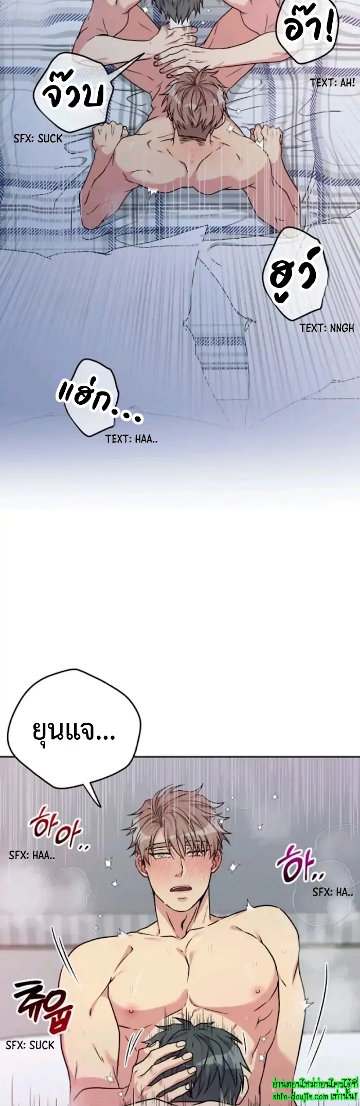 Three Dive EP 4